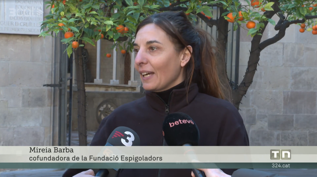 TN - TV3 "De les taronges de Palau se'n fan pots petits de confitura"