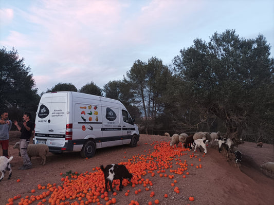Este proyecto busca reaprovechar alimentos que serían descartados para ser utilizados como alimentación animal, ayudando así a reducir costes para los ganaderos y fomentando un modelo de economía circular más sostenible.