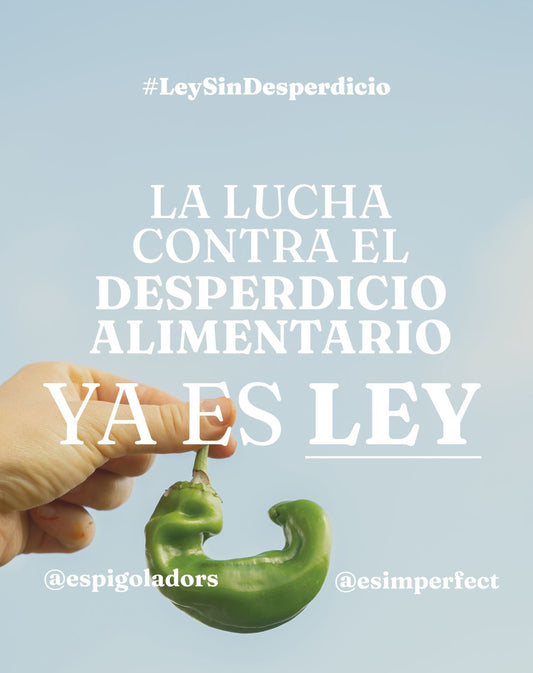 El espigueo se reconoce en la ley como una herramienta de prevención de las pérdidas alimentarias en el campo.